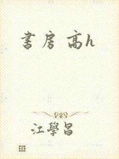 书房 高h