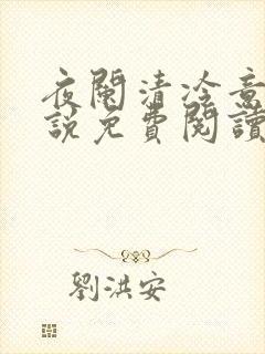 夜阑清冷意欢小说免费阅读封面