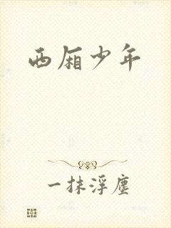 西厢少年
