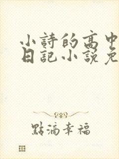 小诗的高中成长日记小说免费阅读