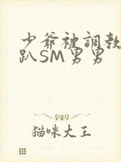 少爷被调教室跪趴SM男男