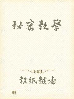 秘密教学封面