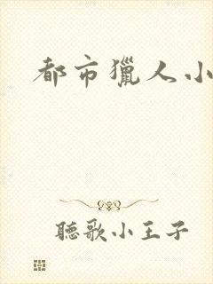 都市猎人小说封面