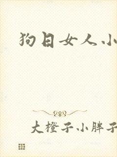 狗日女人小说