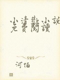 小清欢小说全文免费阅读封面