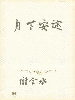 月下安途