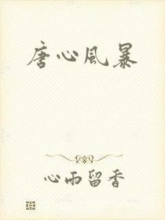 唐心风暴封面