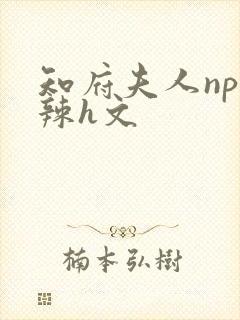 知府夫人np高辣h文