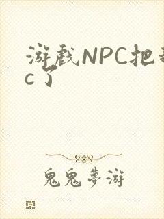 游戏NPC把我c了