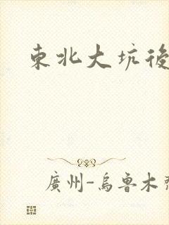 东北大坑后续2封面