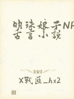 明珠娘子NPC古言小说