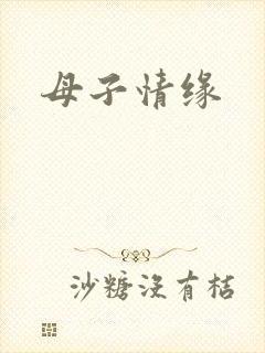 母子情缘封面