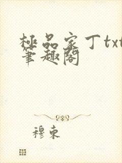 极品家丁txt笔趣阁