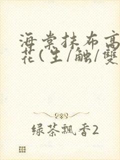 海棠抹布高岭之花(生/触/双)