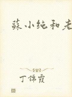 苏小纯和老苏封面