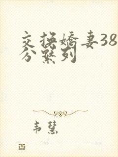 交换娇妻38部分系列