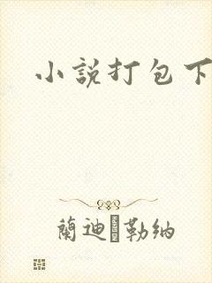 小说打包下载封面