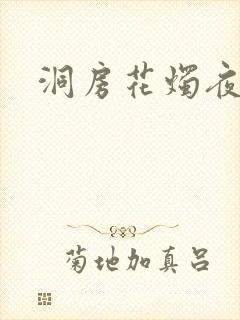 洞房花烛夜小说封面
