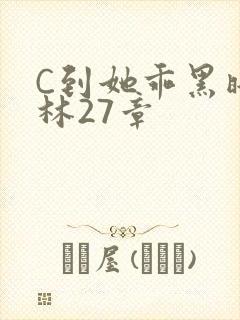 C到她乖黑暗森林27章