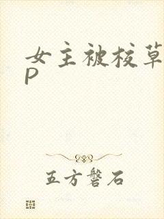 女主被校草们NP