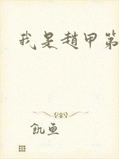 我是赵甲第小说