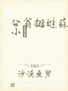 公翁挺进苏玥的小泬