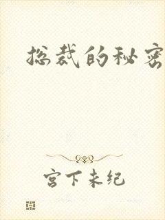 总裁的秘密情人