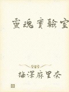 灵魂实验室封面