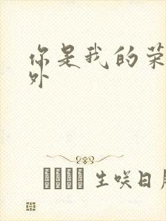 你是我的荣耀番外