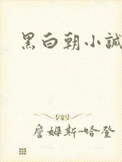 黑白朝小诚封面