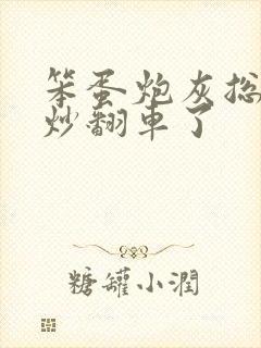 笨蛋炮灰总被爆炒翻车了