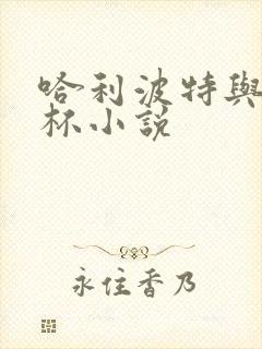 哈利波特与火焰杯小说