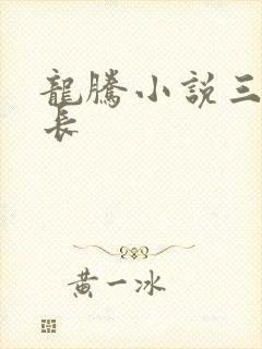 龙腾小说三宝局长封面