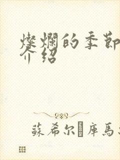 灿烂的季节剧情介绍