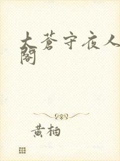 大苍守夜人笔趣阁