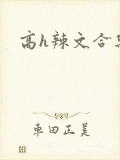 高h辣文合集