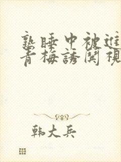 熟睡中被进了H青梅诱哄视频