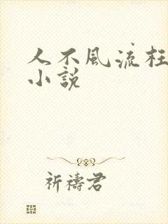 人不风流枉少年小说封面