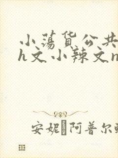 小荡货公共场所h文小辣文np