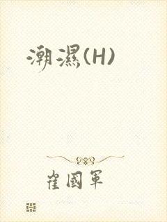 潮湿(H)
