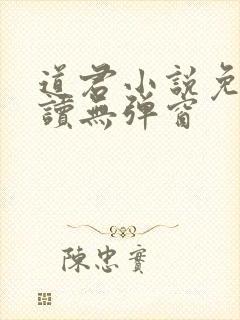 道君小说免费阅读无弹窗