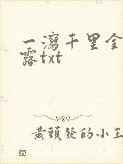 一泻千里金银花露txt