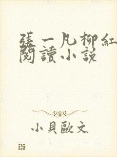 张一凡柳红免费阅读小说封面