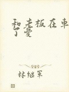 和老板在车里做了爱