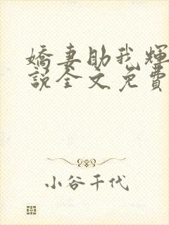 娇妻助我辉煌小说全文免费阅读封面