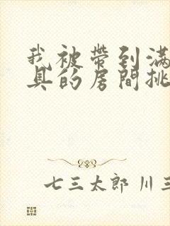 我被带到满是玩具的房间挑调游戏