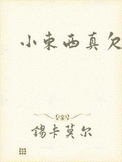 小东西真欠弄封面