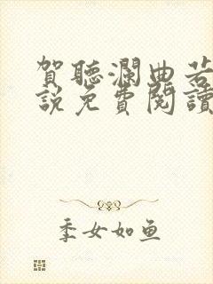 贺听澜曲若樱小说免费阅读最新章节封面