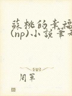 苏桃的幸福生活(np)小说笔趣阁