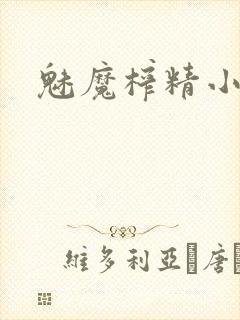 魅魔榨精小说